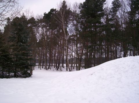 NK Digi021.jpg